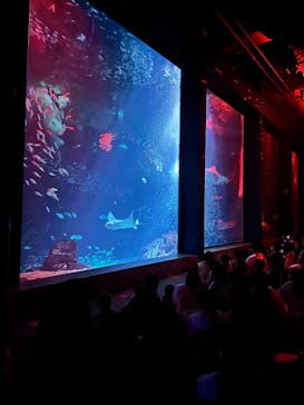 マリンワールド海の中道に投稿された画像（2024/7/15）