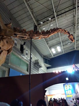 巨大恐竜展2024に投稿された画像（2024/7/15）