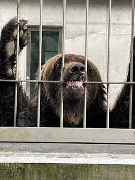 東武動物公園に投稿された画像（2024/7/15）