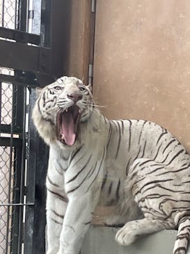 東武動物公園に投稿された画像（2024/7/15）