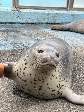 東武動物公園に投稿された画像（2024/7/15）