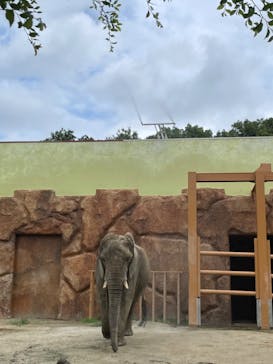 東武動物公園に投稿された画像（2024/7/15）