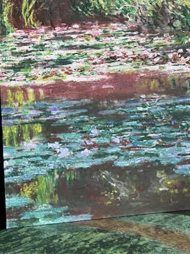 モネ＆フレンズ・アライブに投稿された画像（2024/7/15）