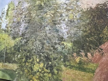 モネ＆フレンズ・アライブに投稿された画像（2024/7/15）