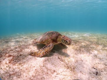 ちゃこたびに投稿された画像（2024/7/15）