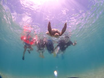 ちゃこたびに投稿された画像（2024/7/15）