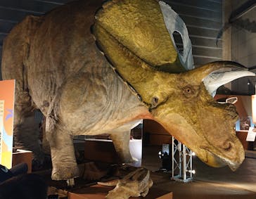 巨大恐竜展2024に投稿された画像（2024/7/15）