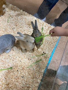 いきもの探検隊上尾に投稿された画像（2024/7/16）