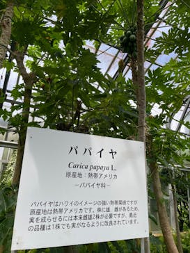 熱川バナナワニ園に投稿された画像（2024/7/16）