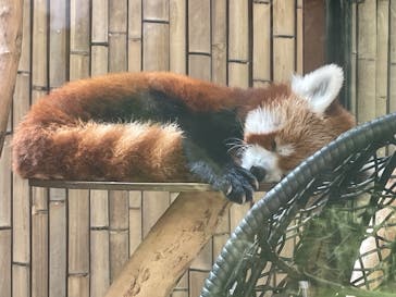 熱川バナナワニ園に投稿された画像（2024/7/16）