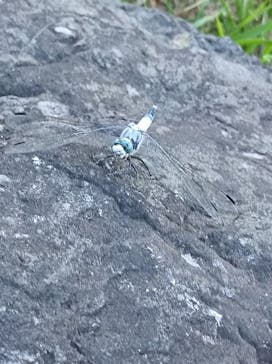 万博記念公園に投稿された画像（2024/7/16）