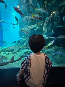 マクセル アクアパーク品川に投稿された画像（2024/7/16）