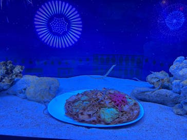 マクセル アクアパーク品川に投稿された画像（2024/7/16）