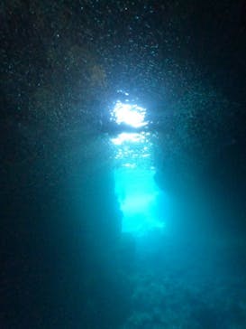 武藤潜水に投稿された画像（2024/7/16）