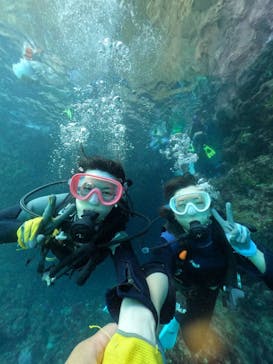 武藤潜水に投稿された画像（2024/7/16）