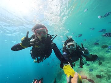 武藤潜水に投稿された画像（2024/7/16）