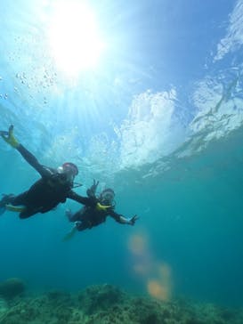武藤潜水に投稿された画像（2024/7/16）