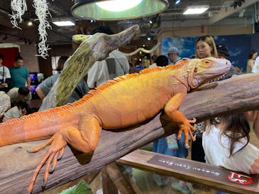 NARA KINGYO MUSEUMに投稿された画像（2024/7/16）