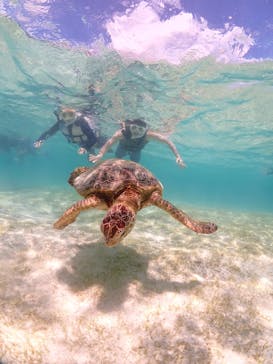 初心者専門宮古島シュノーケリングツアーに投稿された画像（2024/7/16）