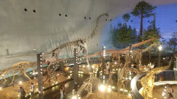 福井県立恐竜博物館に投稿された画像（2024/7/16）