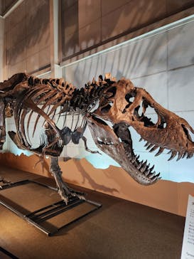 巨大恐竜展2024に投稿された画像（2024/7/16）