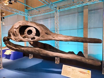 巨大恐竜展2024に投稿された画像（2024/7/16）