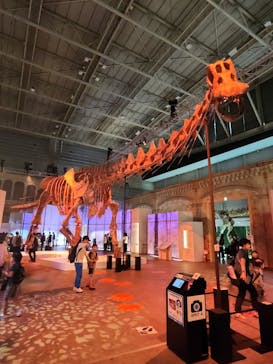 巨大恐竜展2024に投稿された画像（2024/7/16）