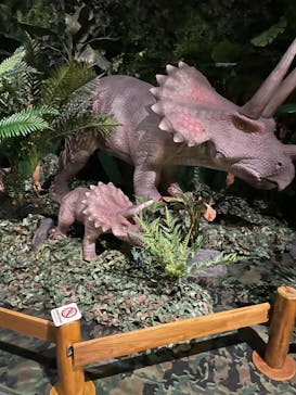 タッチ ザ ダイナソー ～恐竜アドベンチャー展～に投稿された画像（2024/7/16）