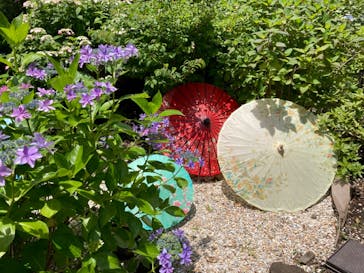 ニューヨークランプミュージアム＆フラワーガーデンに投稿された画像（2024/7/16）