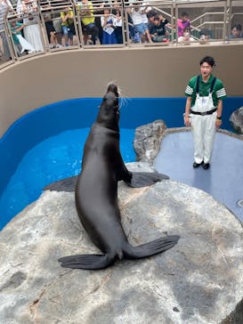 アクアワールド茨城県大洗水族館に投稿された画像（2024/7/16）