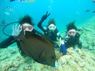 武藤潜水に投稿された画像（2024/7/16）