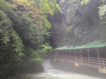 秋芳洞に投稿された画像（2024/7/16）