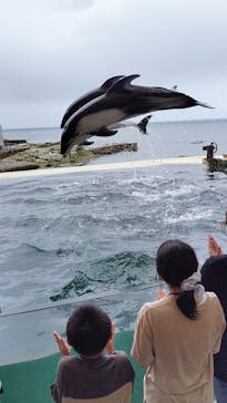 城崎マリンワールドに投稿された画像（2024/7/16）