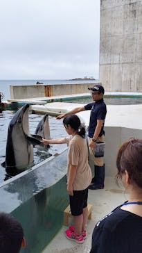 城崎マリンワールドに投稿された画像（2024/7/16）