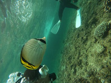 沖縄マリンサービス碧に投稿された画像（2024/7/16）