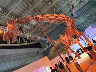 巨大恐竜展2024に投稿された画像（2024/7/16）