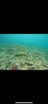 武藤潜水に投稿された画像（2024/7/16）