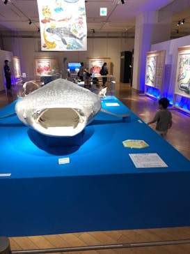 ギョギョッとサカナ★スター展　～お魚たちが教えてくれる海のこと～に投稿された画像（2024/7/16）