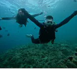 武藤潜水に投稿された画像（2024/7/16）