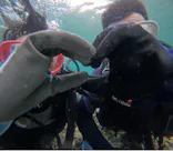 武藤潜水に投稿された画像（2024/7/16）