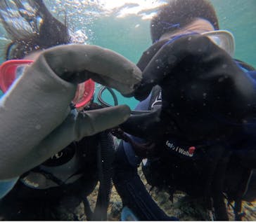 武藤潜水に投稿された画像（2024/7/16）