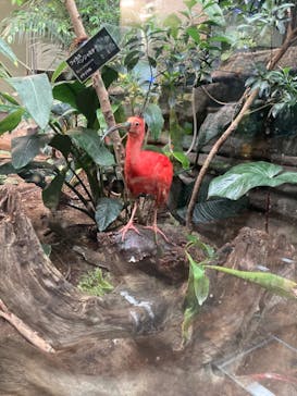 カワスイ 川崎⽔族館に投稿された画像（2024/7/16）