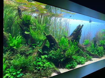 AOAO SAPPOROに投稿された画像（2024/7/16）