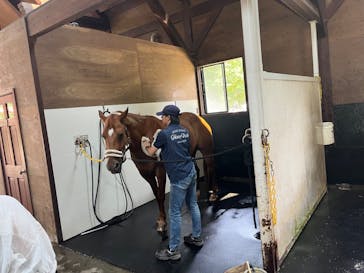 ノーザンホースパークに投稿された画像（2024/7/16）