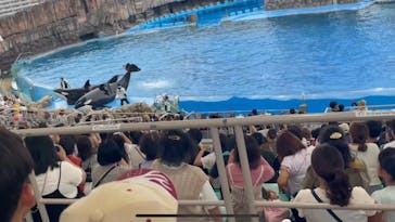 名古屋港水族館に投稿された画像（2024/7/16）