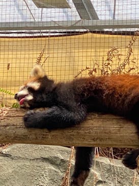 神戸どうぶつ王国に投稿された画像（2024/7/16）