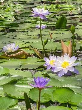 神戸どうぶつ王国に投稿された画像（2024/7/16）