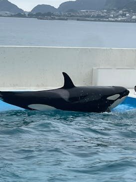 鴨川シーワールドに投稿された画像（2024/7/16）