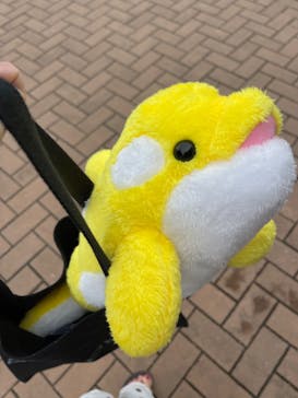 鴨川シーワールドに投稿された画像（2024/7/16）