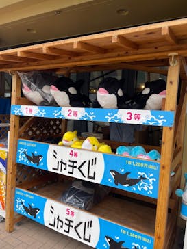 鴨川シーワールドに投稿された画像（2024/7/16）